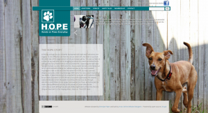 H.O.P.E Website